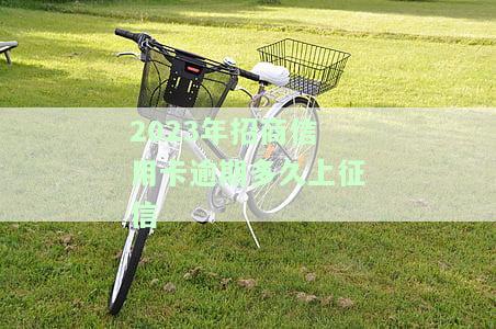2023年招商信用卡逾期多久会上征信？