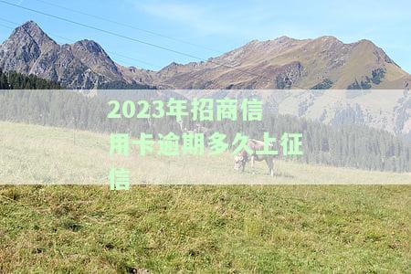 2021年招商信用卡逾期：新政策及影响，逾期多久会上征信？
