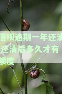 借呗逾期一年后还清了是不是就会关闭借呗，借呗逾期一年后还款，是否会关闭借呗账户？