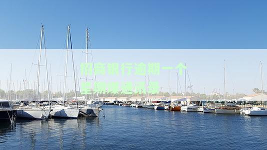 招商银行逾期13天，已打二次催收电话，如何处理？