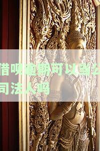 借呗逾期是否能成为公司法人？知乎探讨