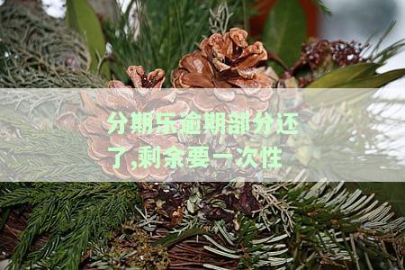 分期乐逾期部分已还清还会被起诉吗，分期乐逾期后还款部分，是否仍有可能被起诉？