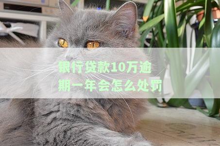 银行贷款10万逾期利息怎么算的，如何计算银行贷款10万元的逾期利息？