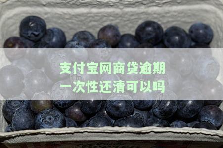 支付宝网商贷逾期一次性还清可以吗
