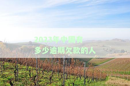 2023年中国有多少逾期欠款的人呢，探究2023年中国逾期欠款者数量，揭示财务风险现状