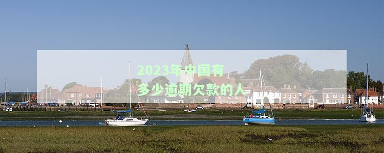 2023年中国有多少逾期欠款的人