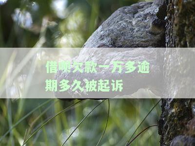 借呗逾期一万多会被起诉吗？了解风险及解决方案