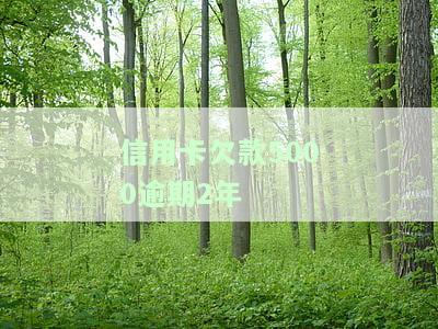 信用卡欠款5000逾期2年被扣15000多，如何退息及计算利息？