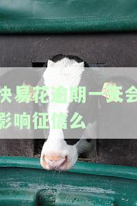 快易花逾期一天有事吗，关于'快易花逾期一天有事吗'的解答