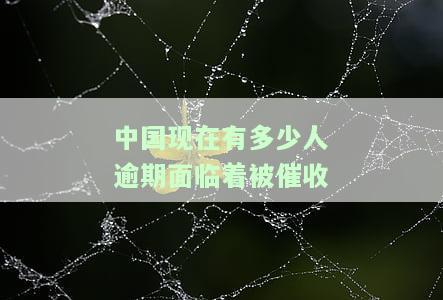 全国有多少人逾期被催收，揭秘全国逾期催收现状：多少人正在面临催收困扰？