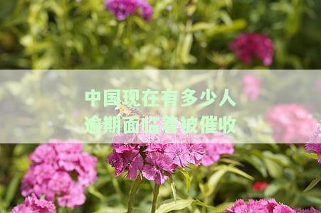 中国有多少人欠钱逾期，揭秘中国：欠款逾期人数惊人，你是否在其中？