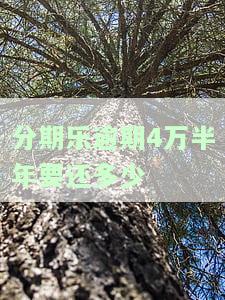 分期乐借了30000,逾期四年了,怎么办，急需解决！分期乐借款30000逾期四年，我该怎么办？