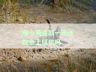 2023年：逾期无力还款的最佳处理方法