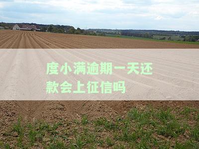 2023年征信逾期新规定：全面解读与影响