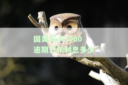 国美易卡3000逾期三年利息多少