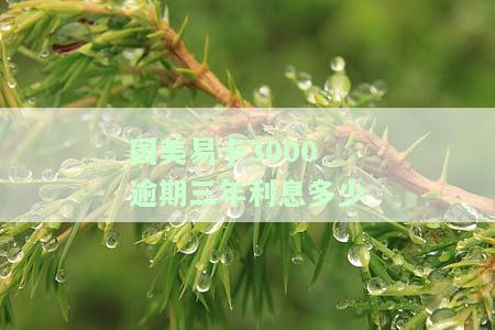 国美易卡3000逾期三年利息多少-国美易卡3000逾期三年利息多少