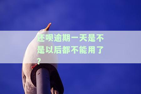 还呗逾期一天是否会影响后续使用？