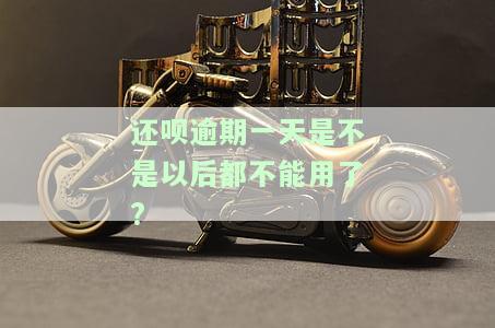 还呗逾期一天会影响征信吗？非故意逾期会有什么后果？