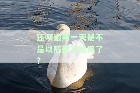 还呗逾期一天是不是以后都不能用了?-还呗逾期一天是不是以后都不能用了呢