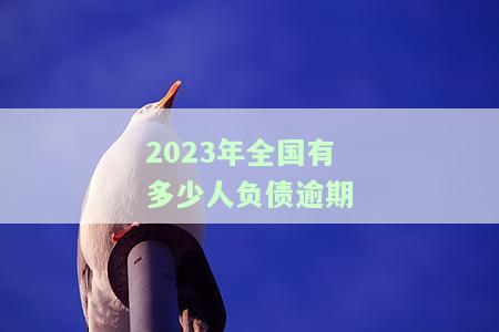 全国负债人数已达7亿，逾期率42%，揭示中国债务危机的严重性