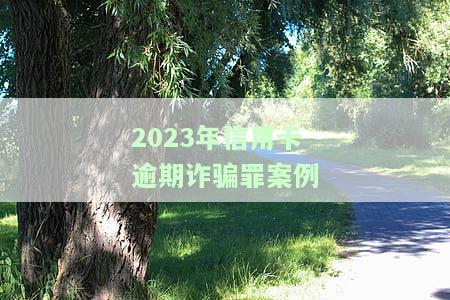 2023年信用卡逾期诈骗罪案例分析，深度解析：2023年信用卡逾期诈骗罪案例分析