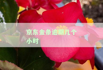 京东金条逾期几个小时会有影响吗？京东金条逾期攻略！如何恢复使用？