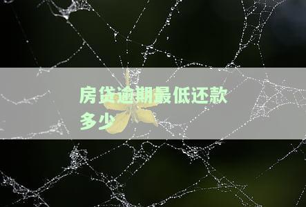 房贷最晚逾期多少天，房贷逾期：最晚可容忍的逾期天数是多少？