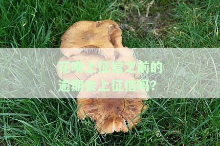 花呗逾期上征信后恢复使用时间解析