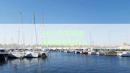 2023年花呗逾期新政策含义解析