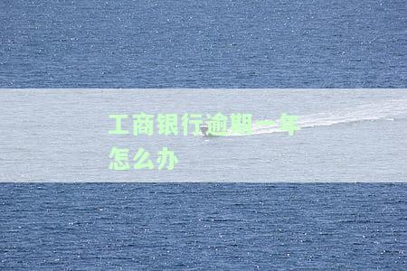 工商银行卡逾期一年再还款就还不进去？能否减免手续费并分月还款？