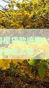 房屋贷款逾期5个月会有什么后果？