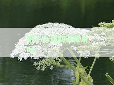 饿了么逾期后还能使用吗？安全性与可靠性如何？