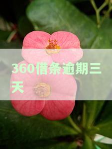 逾期三天会打紧急联系人吗，关于逾期处理：是否会拨打紧急联系人？