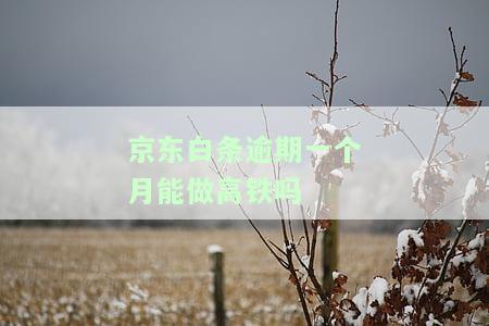 逾期一个多月是否会上人民法院？