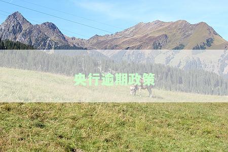 央行逾期政策最新消息：查询与新闻全掌握