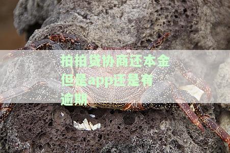 拍拍贷协商还本金但是还是有逾期怎么办，如何解决拍拍贷协商还款后仍有逾期的情况？
