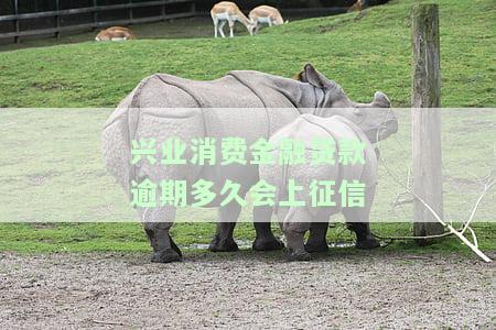 兴业消费金融贷款逾期多久会上征信啊，兴业消费金融：贷款逾期多长时间将影响您的信用记录？