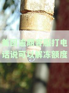 美团逾期客服打电话说可以解冻额度