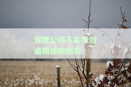 保理公司应收账款转让限制，探讨保理公司应收账款转让的限制及其影响