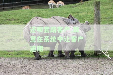 还呗套路客户,故意在系统中让客户逾期