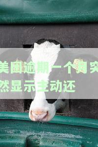 美团逾期一个月突然显示主动还款怎么办，突发状况：美团逾期一个月后突然显示主动还款，如何应对？