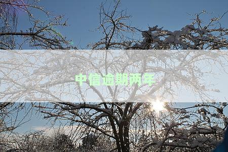 中信逾期两年，催收上门调解是否真的有用？