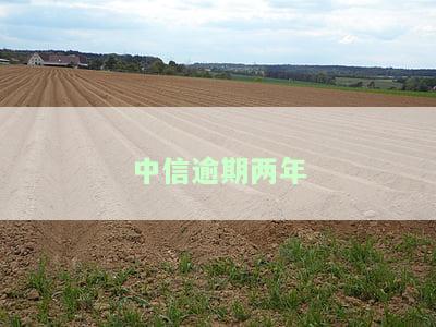 中信逾期两年-中信逾期两年,催收上门调解有用吗