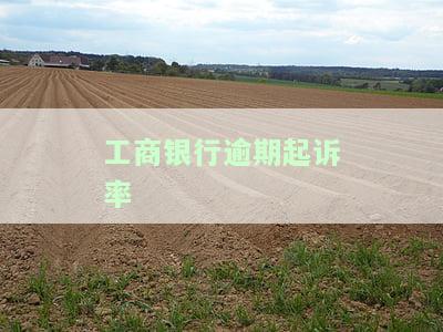 工商银行逾期起诉率是多少？请提供具体数据