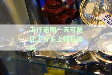 工行逾期一天可是让工行不上报征信吗怎么办，如何避免工行逾期一天导致征信受损？
