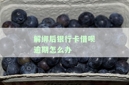 解绑后银行卡借呗逾期怎么办理，银行卡解绑后，如何处理借呗逾期？