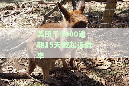 美团千3000逾期15天被起诉概率是多少，逾期15天，美团千3000被起诉的可能性有多大？