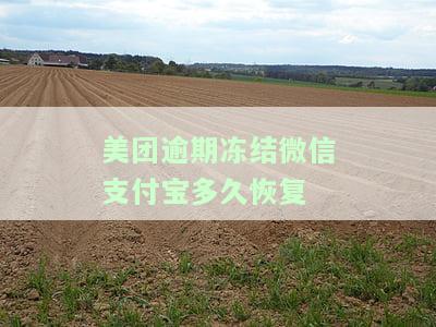 美团逾期：会冻结我微信、支付宝及银行卡吗？