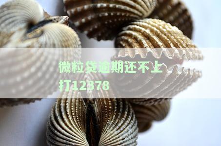 微粒贷逾期还不上打12378-微粒贷逾期哪里打电话来的