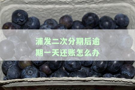 浦发二次分期后逾期一天还账怎么办？解决方案在这里！